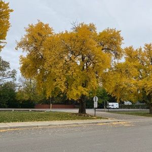 Meet your Posher, Richard